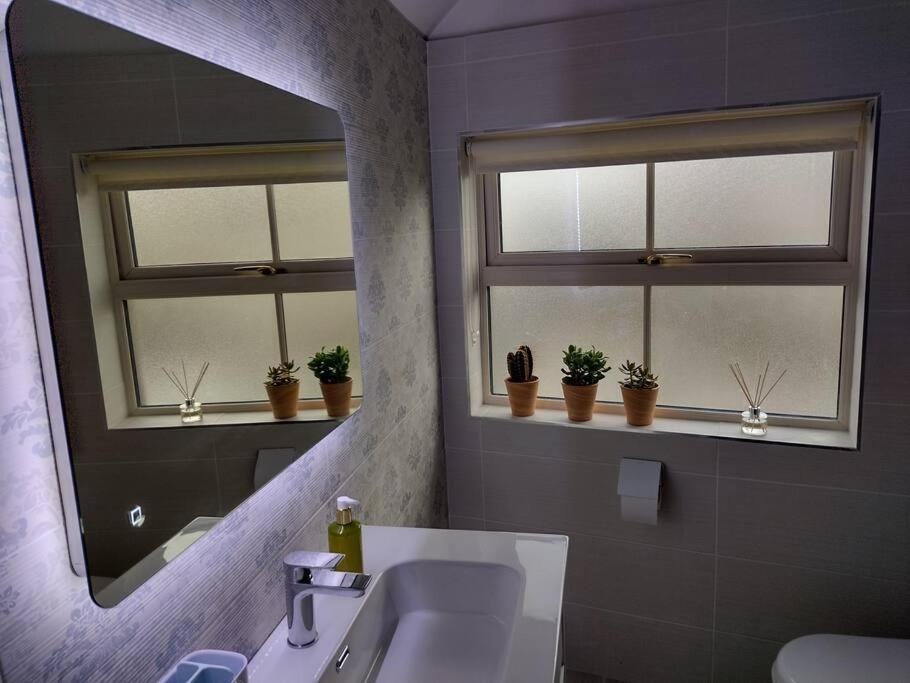 White Birds Townhouse In Sligo Town Center公寓 外观 照片
